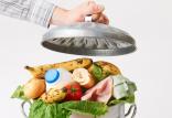 ضایعات غذایی,اخبار علمی,خبرهای علمی,اختراعات و پژوهش