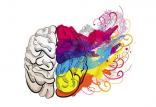 نیمکره های مغز,اخبار پزشکی,خبرهای پزشکی,تازه های پزشکی