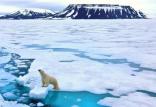 قطب شمال,اخبار علمی,خبرهای علمی,طبیعت و محیط زیست