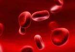 گلبولهای قرمز خون,اخبار پزشکی,خبرهای پزشکی,مشاوره پزشکی