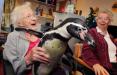 رابطه سالمندان و حیوانات,اخبار جالب,خبرهای جالب,خواندنی ها و دیدنی ها