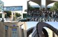 دانشگاه تهران,اخبار دانشگاه,خبرهای دانشگاه,دانشگاه