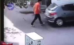 روش جدید پوشاندن پلاک خودرو