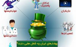 اینفوگرافیک شغل پوادارهای ایران