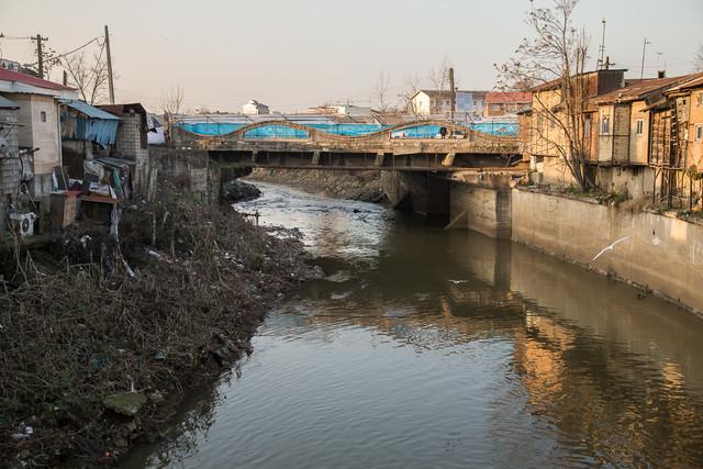 آلودگی رودخانه زرجوب رشت,اخبار اجتماعی,خبرهای اجتماعی,محیط زیست