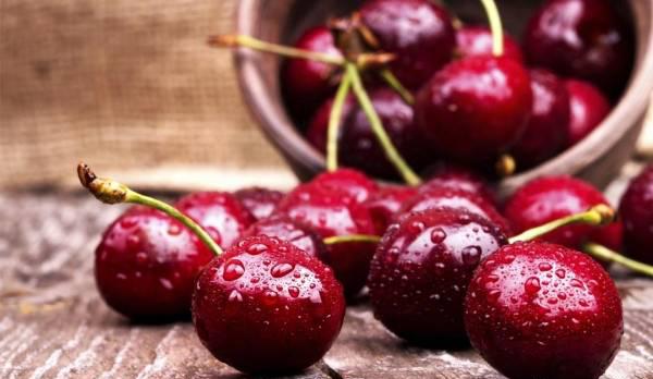گیلاس گیلاس,اخبار پزشکی,خبرهای پزشکی,مشاوره پزشکی