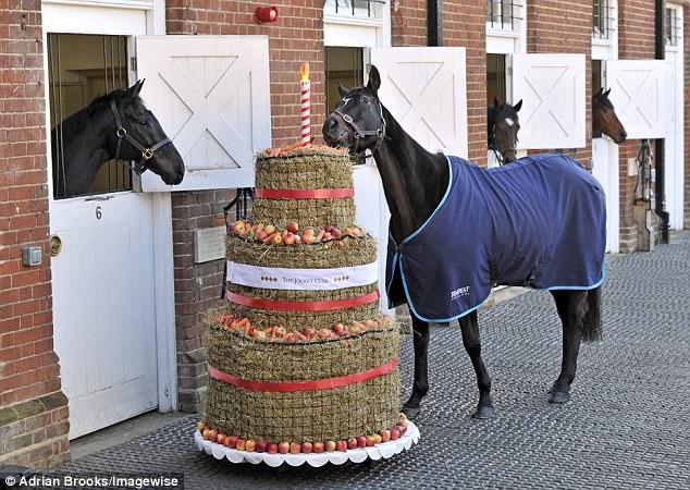 جشن تولد اسب,اخبار جالب,خبرهای جالب,خواندنی ها و دیدنی ها
