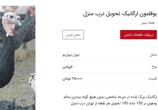 بازار آشفته خوراکی‌ها در کشور,اخبار اقتصادی,خبرهای اقتصادی,کشت و دام و صنعت