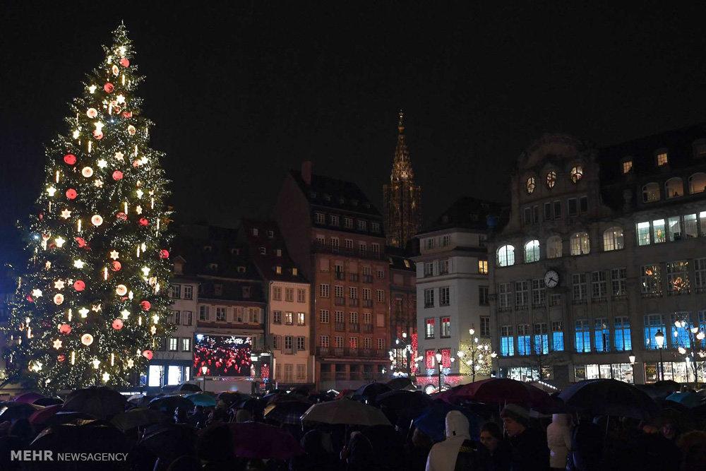تصاویر درخت های کریسمس در نقاط مختلف جهان‎,اخبار جالب,خبرهای جالب,خواندنی ها و دیدنی ها
