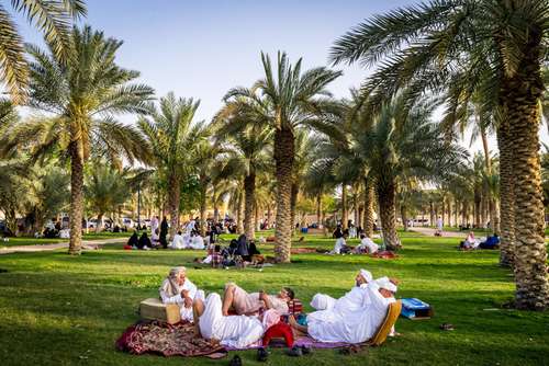 جامعه جدید عربستان,اخبار سیاسی,خبرهای سیاسی,خاورمیانه