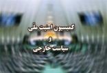 کمیسیون امنیت ملی,اخبار سیاسی,خبرهای سیاسی,مجلس