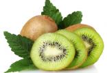 کیوی,اخبار پزشکی,خبرهای پزشکی,تازه های پزشکی