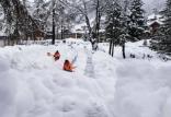 بارش برف در کوه‌های آلپ,اخبار حوادث,خبرهای حوادث,حوادث طبیعی
