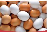 تخم مرغ,اخبار اقتصادی,خبرهای اقتصادی,کشت و دام و صنعت