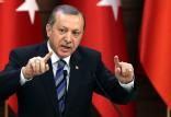 اردوغان,اخبار سیاسی,خبرهای سیاسی,سیاست خارجی
