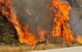 تاثیر آتش سوزی جنگل ها بر کیفیت هوای زمین,اخبار علمی,خبرهای علمی,طبیعت و محیط زیست