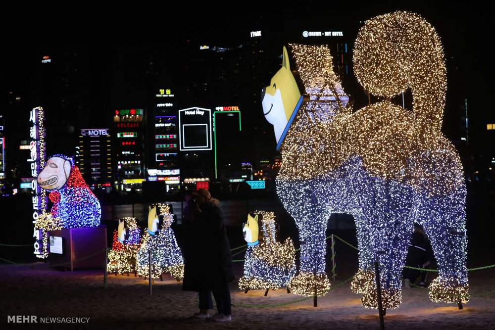 تصاویرتندیس سگ در جشن های سال نوی میلادی,تصاویرتندیس سگ درجشن سال ۲۰۱۸ میلادی,عکسهای تندیس سگ ئر جشن سال2018,