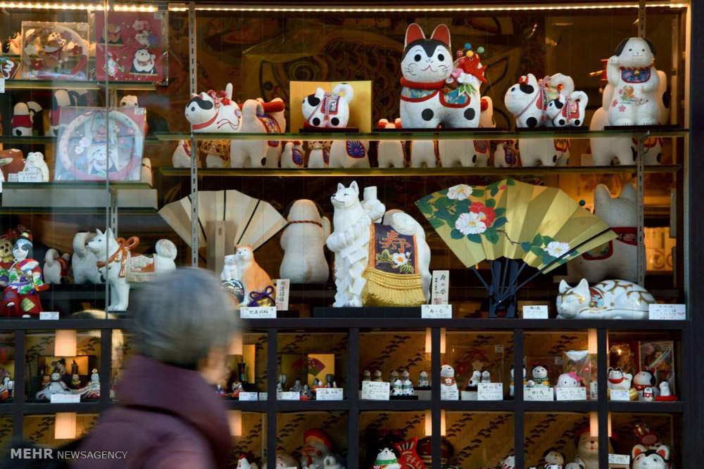 تصاویرتندیس سگ در جشن های سال نوی میلادی,تصاویرتندیس سگ درجشن سال ۲۰۱۸ میلادی,عکسهای تندیس سگ ئر جشن سال2018,