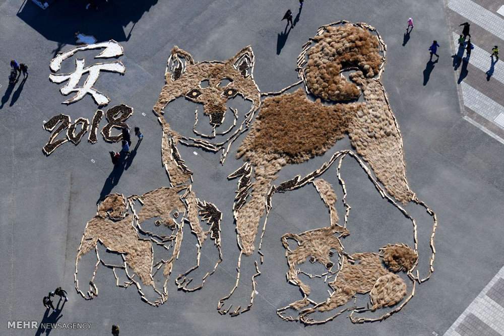 تصاویرتندیس سگ در جشن های سال نوی میلادی,تصاویرتندیس سگ درجشن سال ۲۰۱۸ میلادی,عکسهای تندیس سگ ئر جشن سال2018,