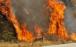 تاثیر آتش سوزی جنگل ها بر کیفیت هوای زمین,اخبار علمی,خبرهای علمی,طبیعت و محیط زیست
