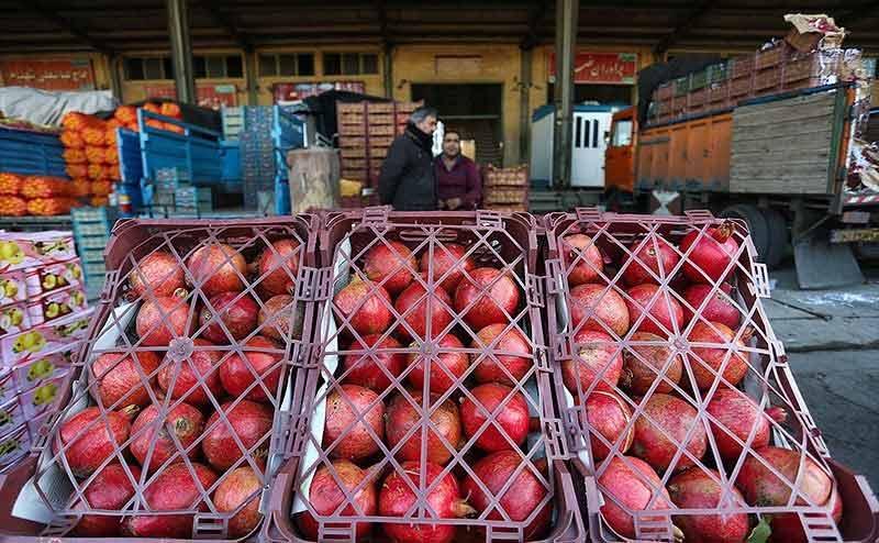 میوه,اخبار اقتصادی,خبرهای اقتصادی,کشت و دام و صنعت