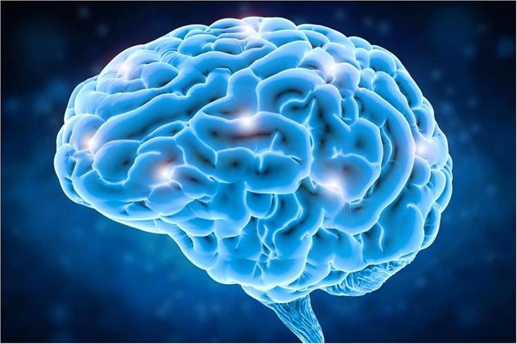 منشا فیزیکی اضطراب در مغز انسان,اخبار پزشکی,خبرهای پزشکی,تازه های پزشکی