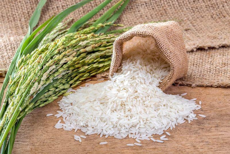 برنج برنج,اخبار اقتصادی,خبرهای اقتصادی,کشت و دام و صنعت