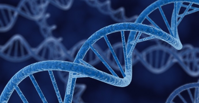 ساختار ژنتیکی ویژه‌ انسان,اخبار پزشکی,خبرهای پزشکی,تازه های پزشکی