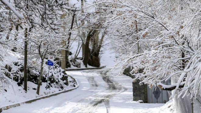 روز برفی روز برفی,اخبار اجتماعی,خبرهای اجتماعی,شهر و روستا