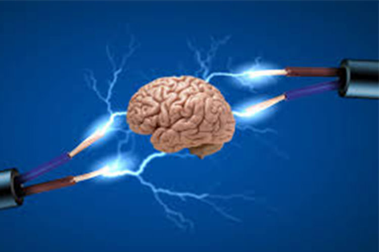 امواج الکتریکی در مغز,اخبار پزشکی,خبرهای پزشکی,تازه های پزشکی