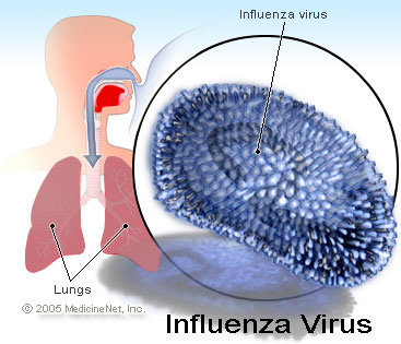 ویروس مرگبار آنفلوآنزا,اخبار پزشکی,خبرهای پزشکی,بهداشت