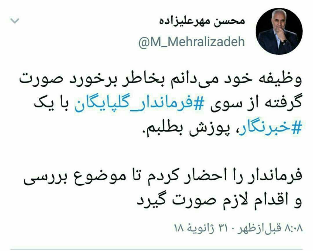محسن مهرعلیزاده,اخبار سیاسی,خبرهای سیاسی,دولت