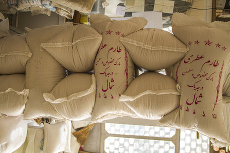 برنج,اخبار اقتصادی,خبرهای اقتصادی,کشت و دام و صنعت