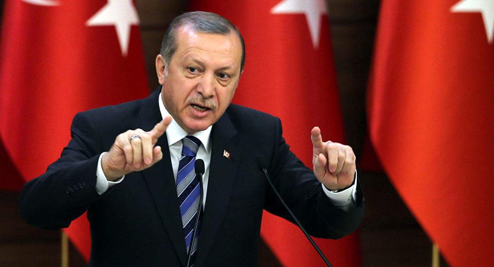 اردوغان,اخبار سیاسی,خبرهای سیاسی,خاورمیانه