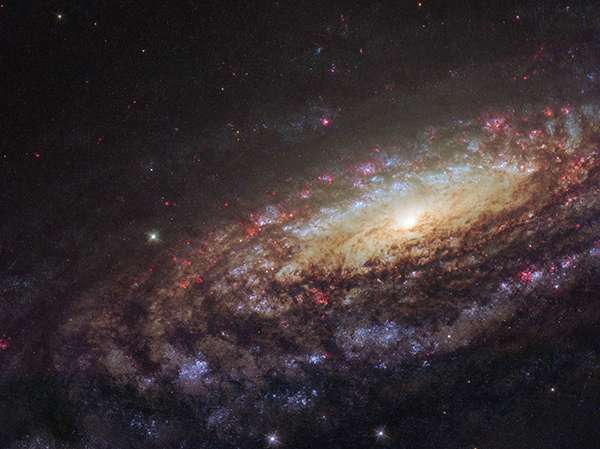کهکشان مارپیچی NGC 7731,اخبار علمی,خبرهای علمی,نجوم و فضا