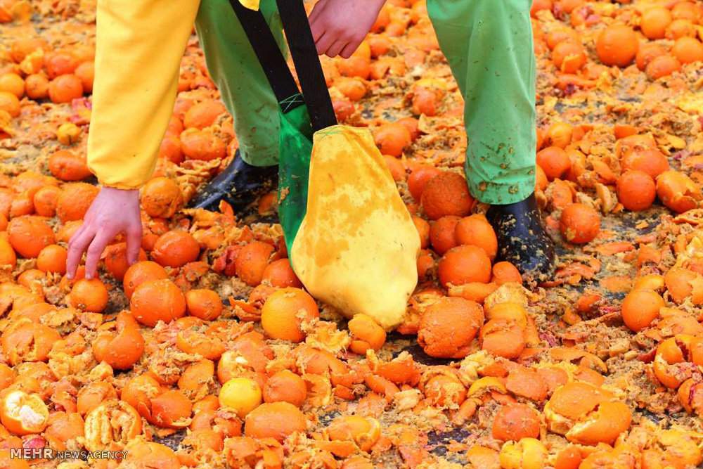 تصاویر جشن جنگ پرتقال در ایتالیا,عکس های کارناوال جنگ پرتقال,تصاویر کارناوال سالانه جنگ پرتقال درایوریا