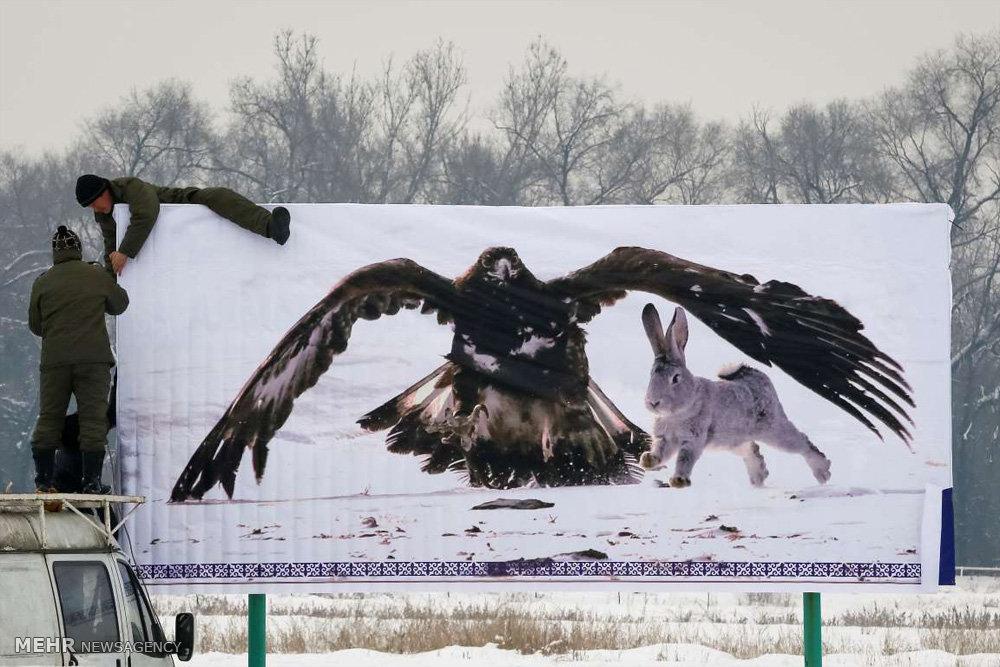 تصاویر مسابقات سالانه شکار با عقاب طلایی, تصاویر شکار با عقاب طلایی در آلماتی, عکسهای مسابقه ی شکار با عقاب طلایی در قزاقستان,