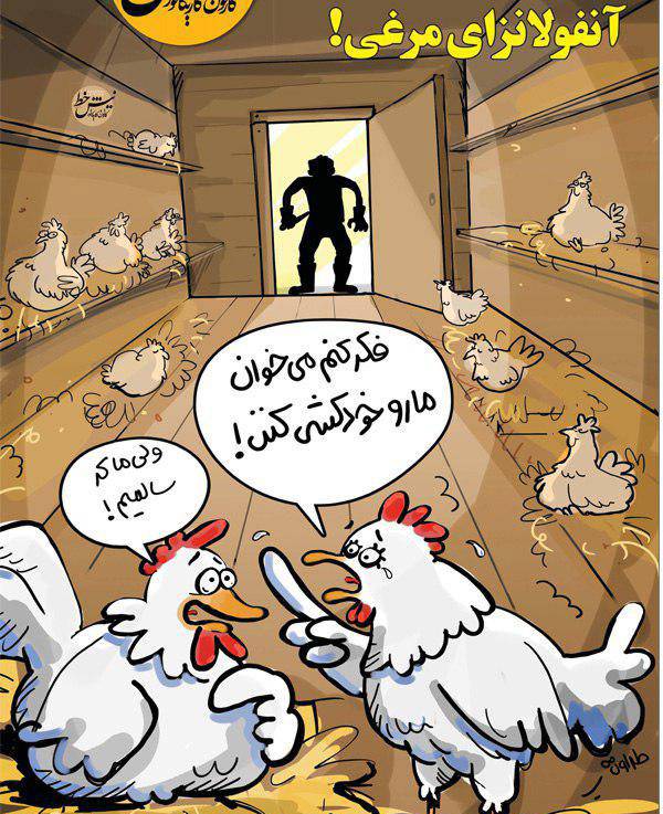 کاریکاتورآنفولانزای مرغی