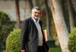 محمود حجتی,اخبار اقتصادی,خبرهای اقتصادی,کشت و دام و صنعت