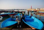 صیاد,اخبار اقتصادی,خبرهای اقتصادی,کشت و دام و صنعت