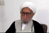 آیت‌الله امینی,اخبار سیاسی,خبرهای سیاسی,اخبار سیاسی ایران