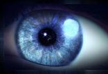 چشم,اخبار پزشکی,خبرهای پزشکی,تازه های پزشکی