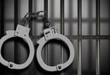دستگیری,اخبار اجتماعی,خبرهای اجتماعی,حقوقی انتظامی