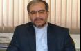 رسول موسوی,اخبار سیاسی,خبرهای سیاسی,سیاست خارجی