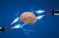 امواج الکتریکی در مغز,اخبار پزشکی,خبرهای پزشکی,تازه های پزشکی