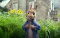 انیمیشن پیتر خرگوشه,اخبار فیلم و سینما,خبرهای فیلم و سینما,اخبار سینمای جهان