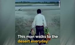 ویدئو/ مرد هندی که در طول 37 سال بیابانی را به جنگل تبدیل کرد