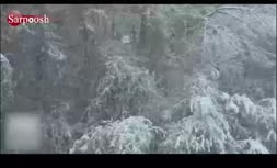 فیلم / اشکال مختلف دانه‌های برف