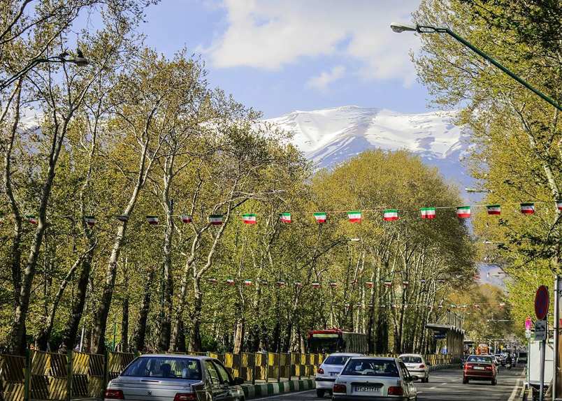 درختان خیابان ولیعصر,اخبار اجتماعی,خبرهای اجتماعی,شهر و روستا