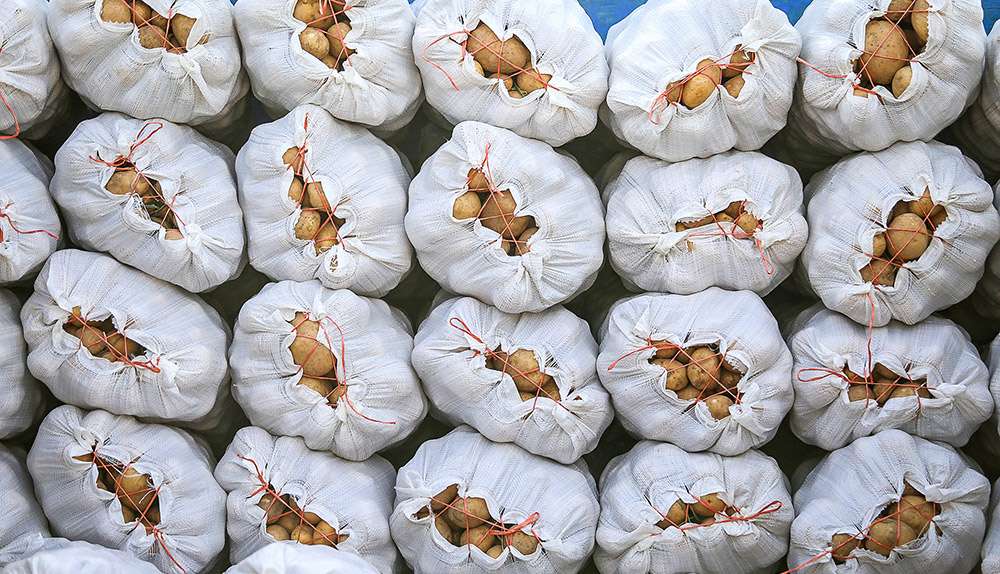 سیب زمینی,اخبار اقتصادی,خبرهای اقتصادی,کشت و دام و صنعت